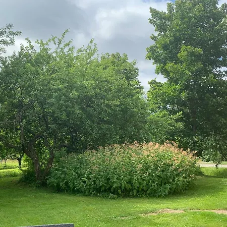 Nocleg ze śniadaniem Wanhan Apteekin Majatalo 2*